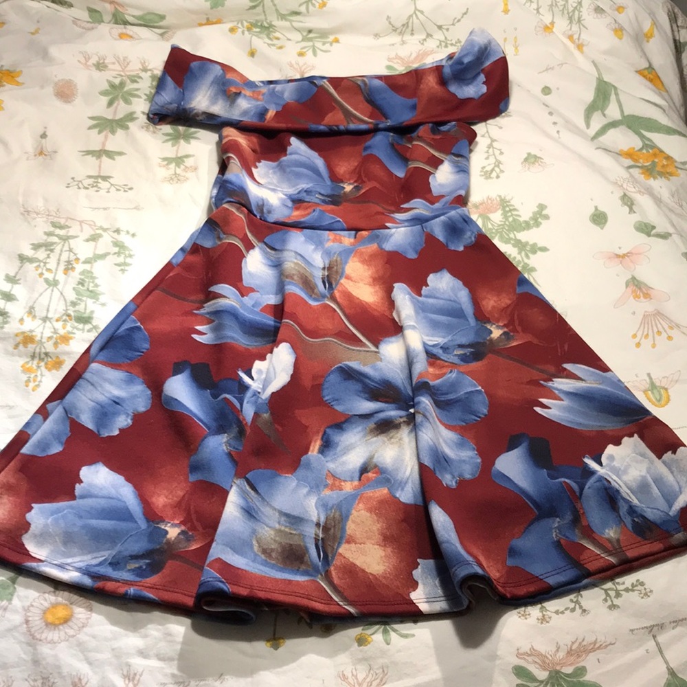 Charlotte Russe Skater Dress